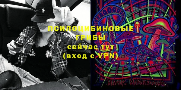 дурь Дмитров