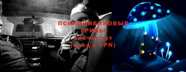 индика Гусев