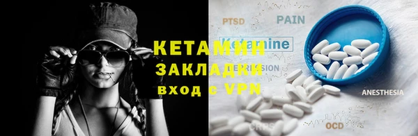 индика Гусев