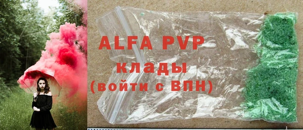 индика Гусев