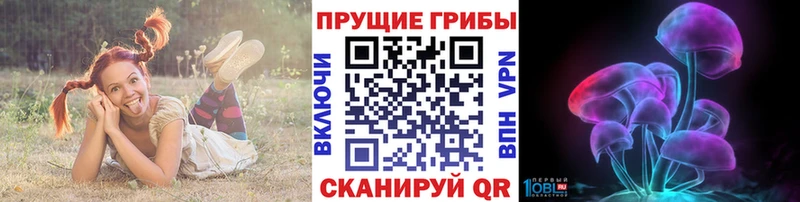 Купить где  Отрадное  Псилоцибиновые грибы мухоморы 